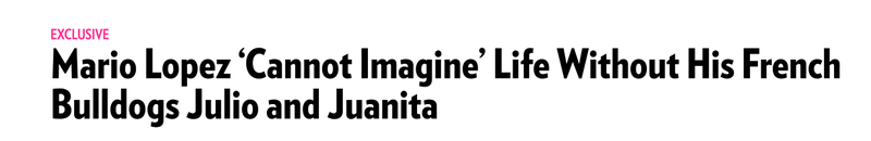 Illustration for article titled Even the Dumbest Us Weekly Headlines Look Great In New Yorker Font